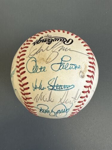 1981 New York Mets TEAM SIGNED Official NL Baseball 28 sig w/ Gibson Torre Staub