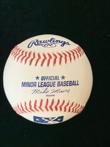 Gil Patterson 1977 Yankees SIGNED Official Minor League Baseball w/ hologram