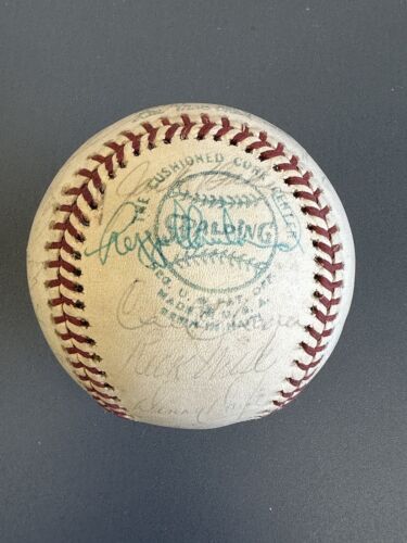 1976 Boston Red Sox Team Signed Official AL Baseball 28 sig w/Yaz Fisk Rice Lynn