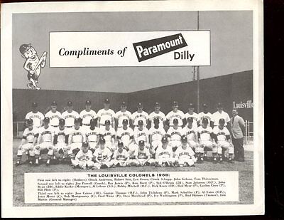 1968 Paramount Dilly Team 8 X 10 Photo Louisville Colonels