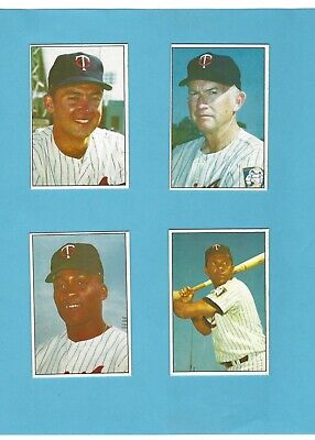 1977 Minnesota Twins Team Issue Lot Of 19 Baseball Cards   