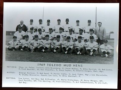 1969 Toledo Mud Hens Team 8 X 10 Photo