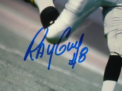 Ray Guy Oakland Raiders Autographed 8" x 10" Color Photograph - B&E Hologram