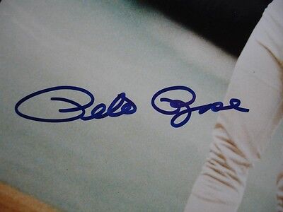 Pete Rose Cincinnati Reds Autographed Color 8" x 10" Photograph