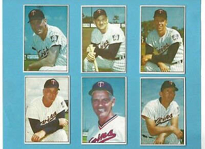 1977 Minnesota Twins Team Issue Lot Of 19 Baseball Cards   