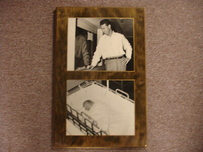 Ted Williams Photograph Display – Williams & Child!