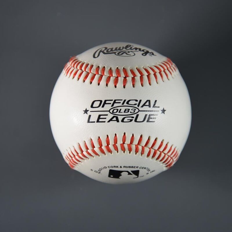 Carlos Delgado Signed Official League Baseball Auto B&E Hologram