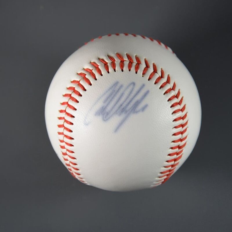 Carlos Delgado Signed Official League Baseball Auto B&E Hologram