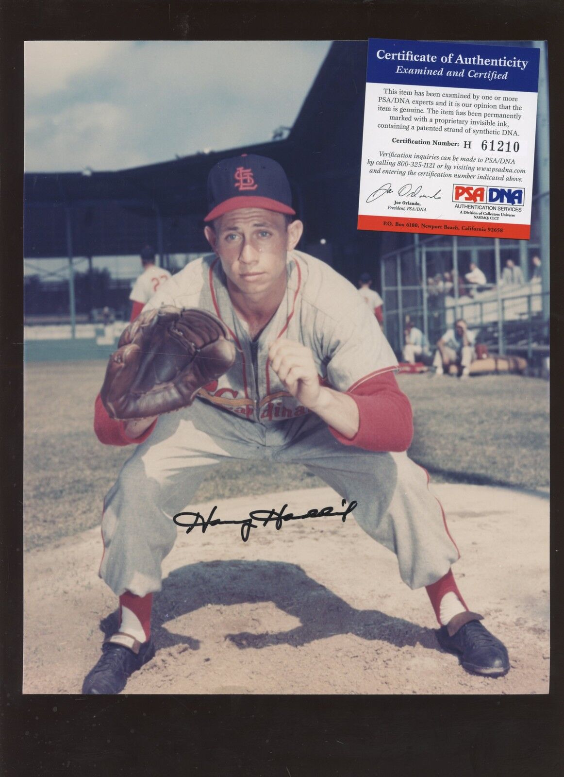 Harvey Haddix St. Louis Cardinals Autographed 8 X 10 Photo PSA/DNA