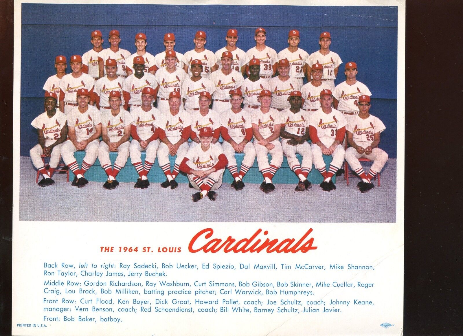 Original 1964 World Champion St. Louis Cardinals 8 1/2 X 10 Team Photo