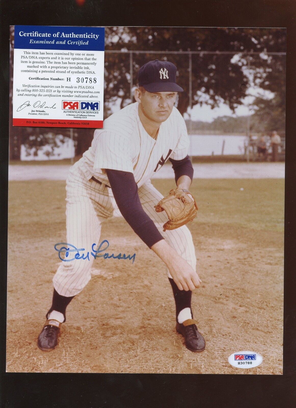 Don Larsen New York Yankees Autographed 8 X 10 Photo PSA Cert