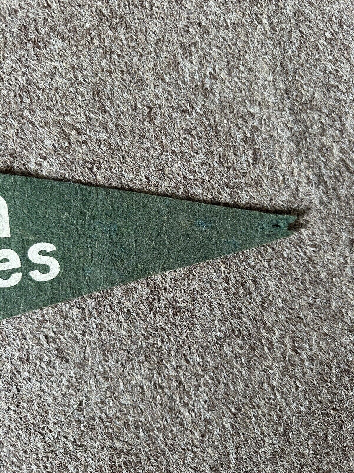 Third Pan-American Games Chicago August 27-Sept 7, 1959 28” Green Felt Pennant