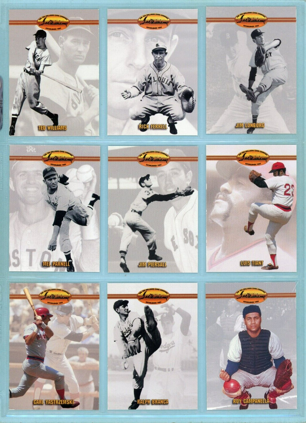 1993 Ted Williams Complete Set of 160 Baseball Cards + 25 of 26 Pog Cards NM