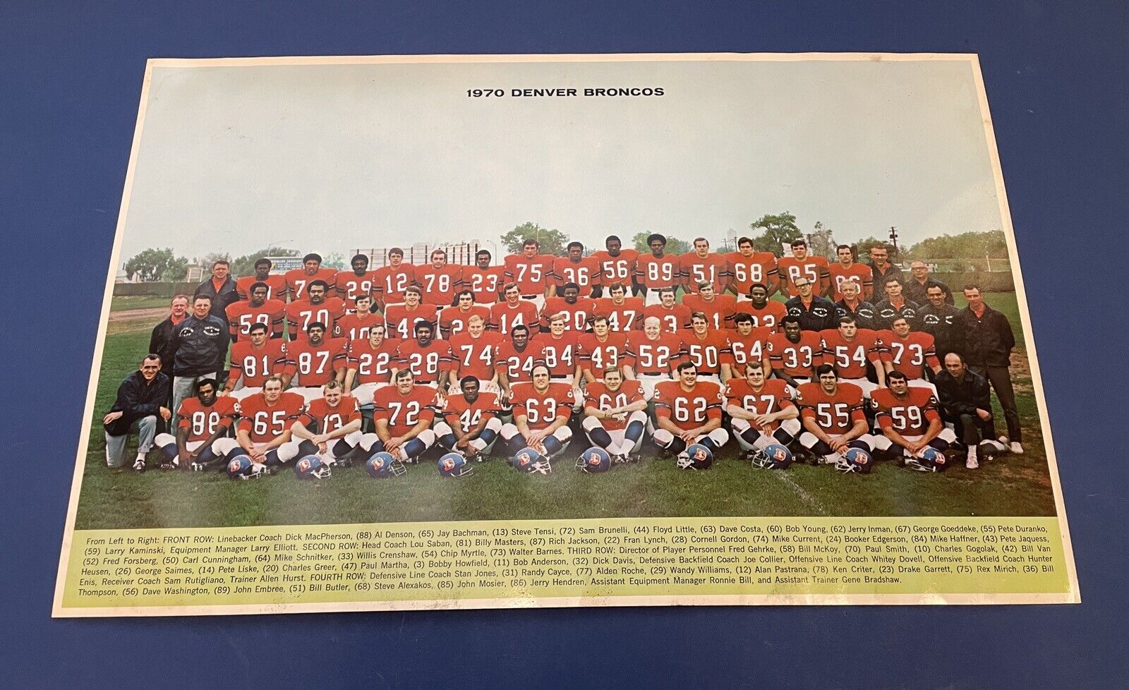 1970 Denver Broncos Promo Team Photo • 11x17 Thick Stock