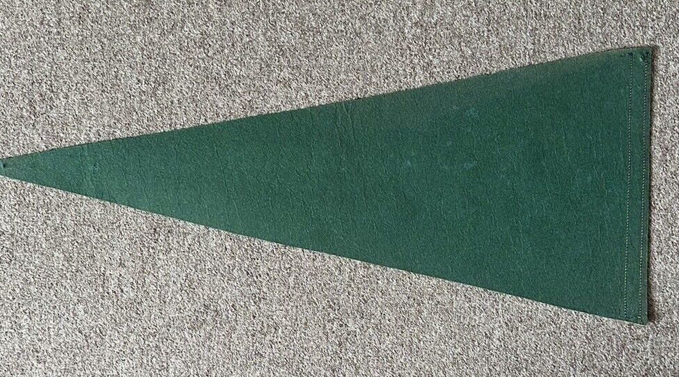 Third Pan-American Games Chicago August 27-Sept 7, 1959 28” Green Felt Pennant