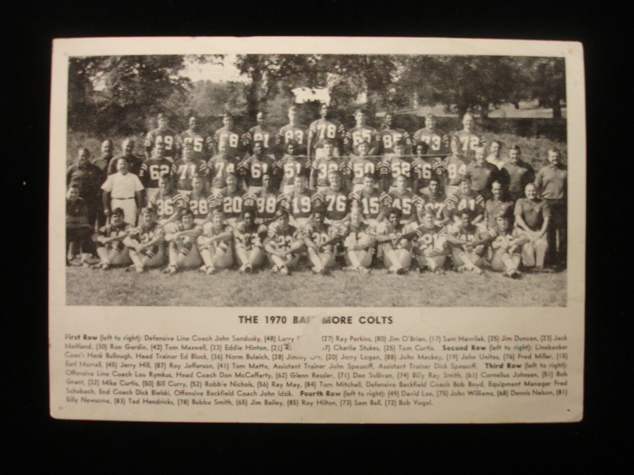 1970 Baltimore Colts Team Photograph - Black & White Post Card, 7" x 5"