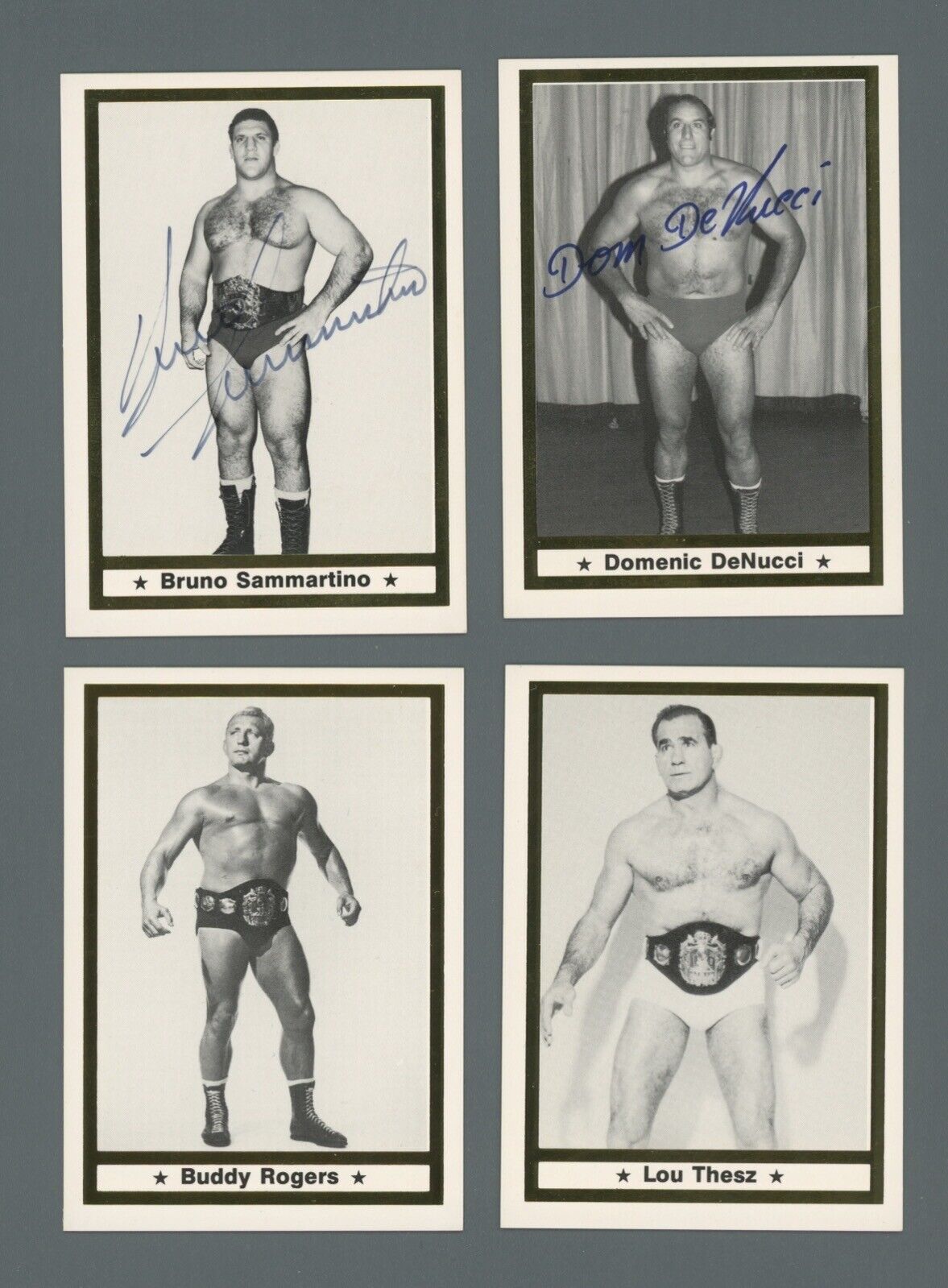 Bruno Sammartino & Domenic DeNucci SIGNED Wrestling Wrestler Cards + 6 Unsigned