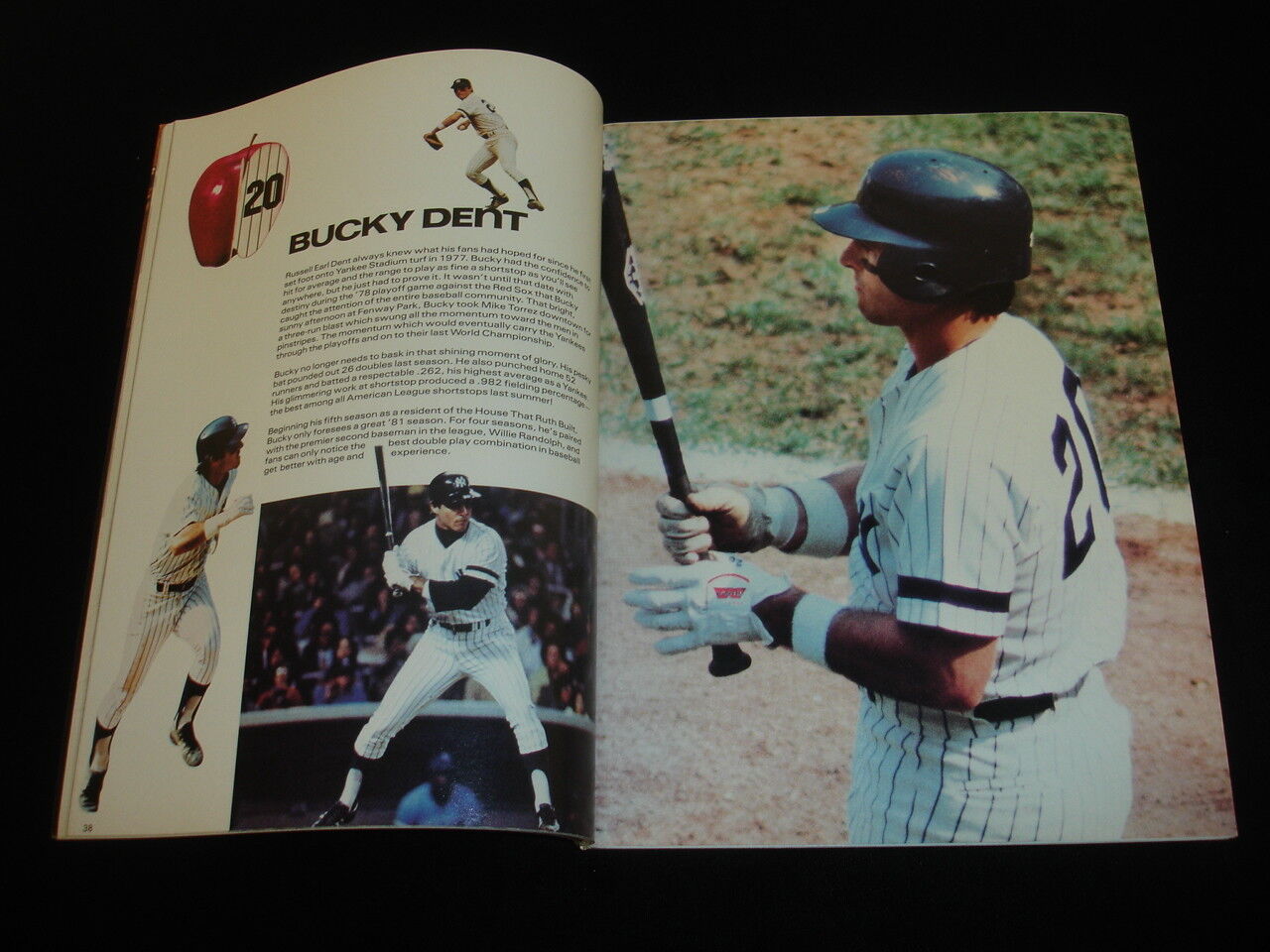 1981 New York Yankees Official Baseball Yearbook-EX-MT