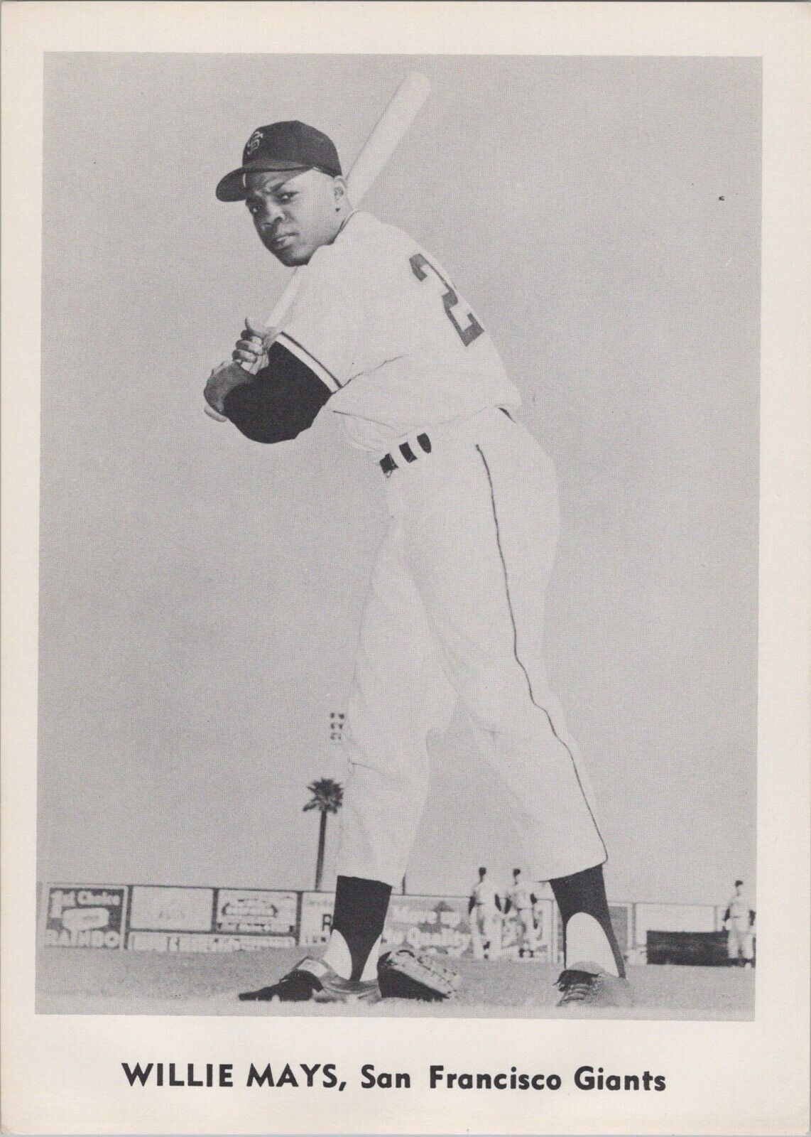 Willie Mays 5x7 1959 San Francisco Giants Jay Publishing Team Photo