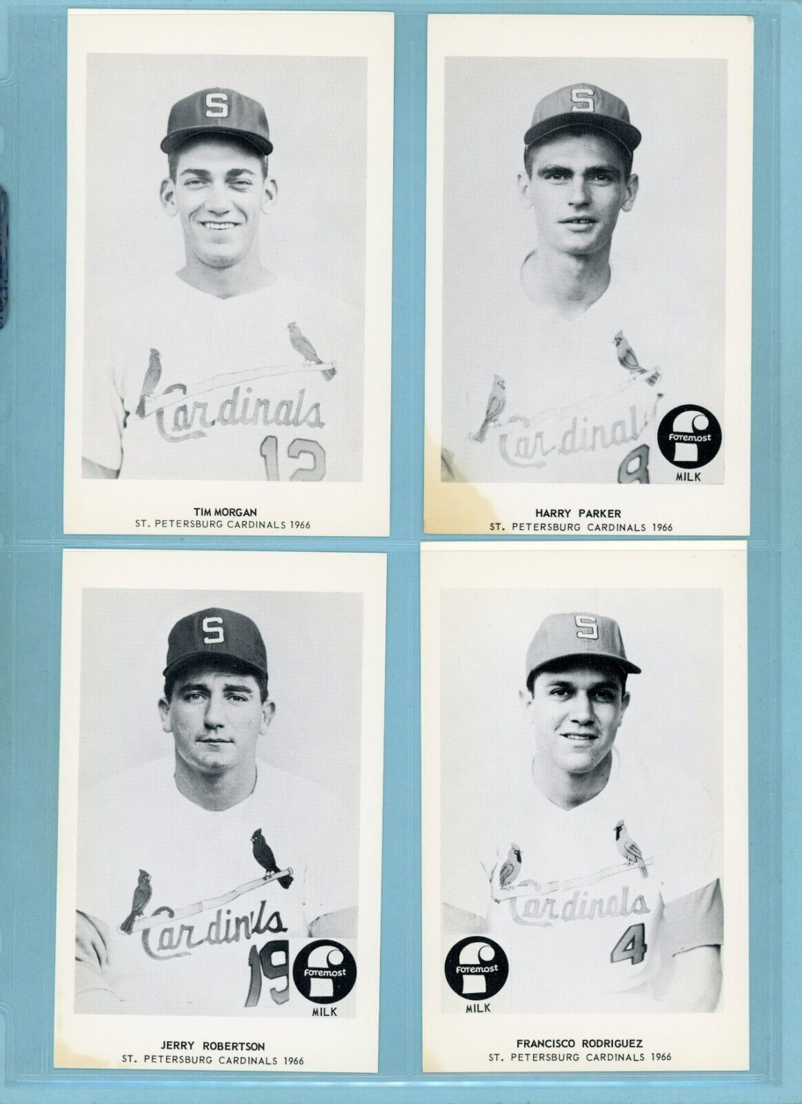 1966 Foremost Milk St. Petersburg Cardinals Near Set of 18 Diff Baseball Photos