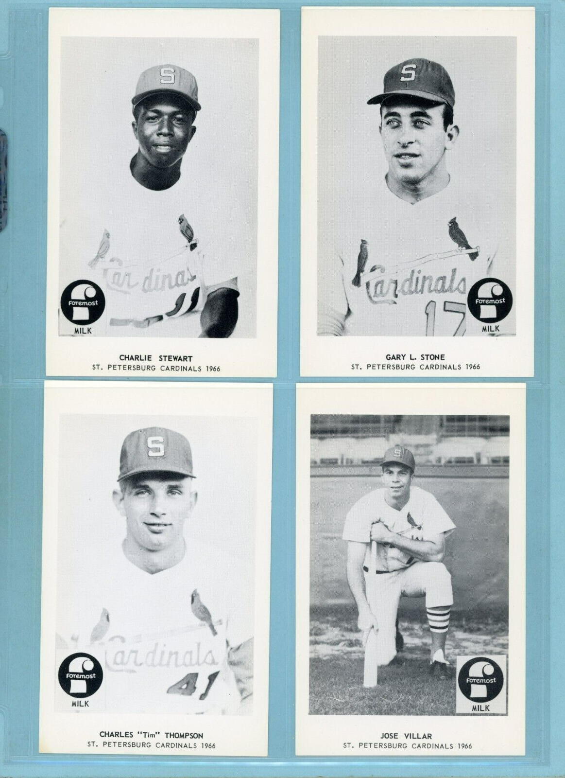 1966 Foremost Milk St. Petersburg Cardinals Near Set of 18 Diff Baseball Photos