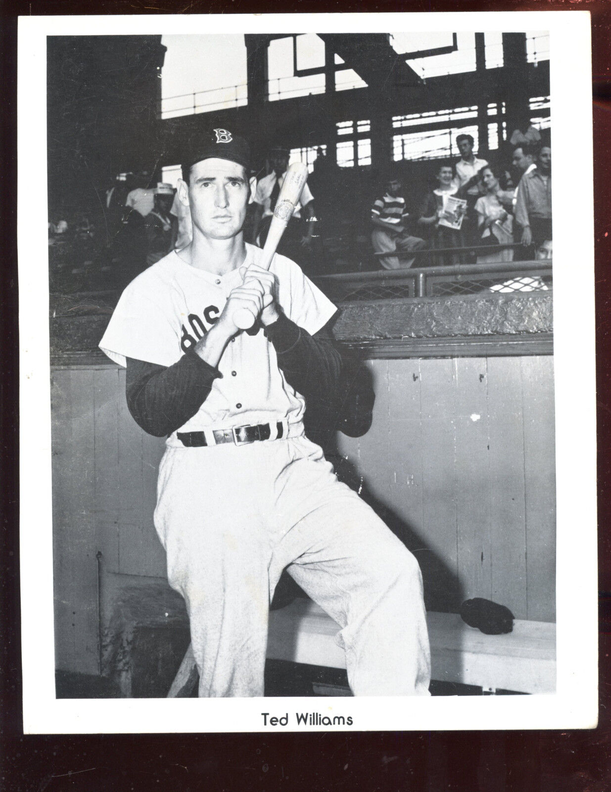 1950's Cardboard Premium Ted Williams 8 X 10 Photo