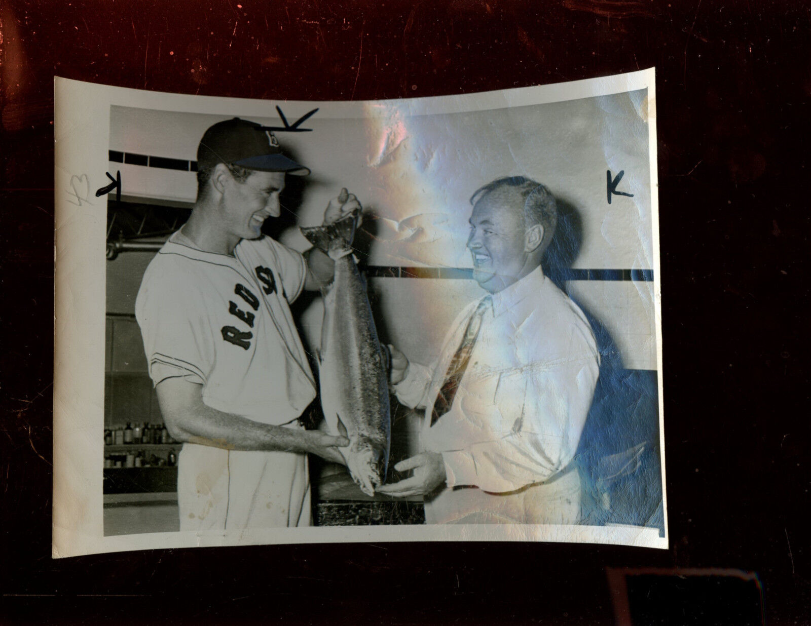 Original May 23 1949 Ted Williams With Salmon Wire Photo