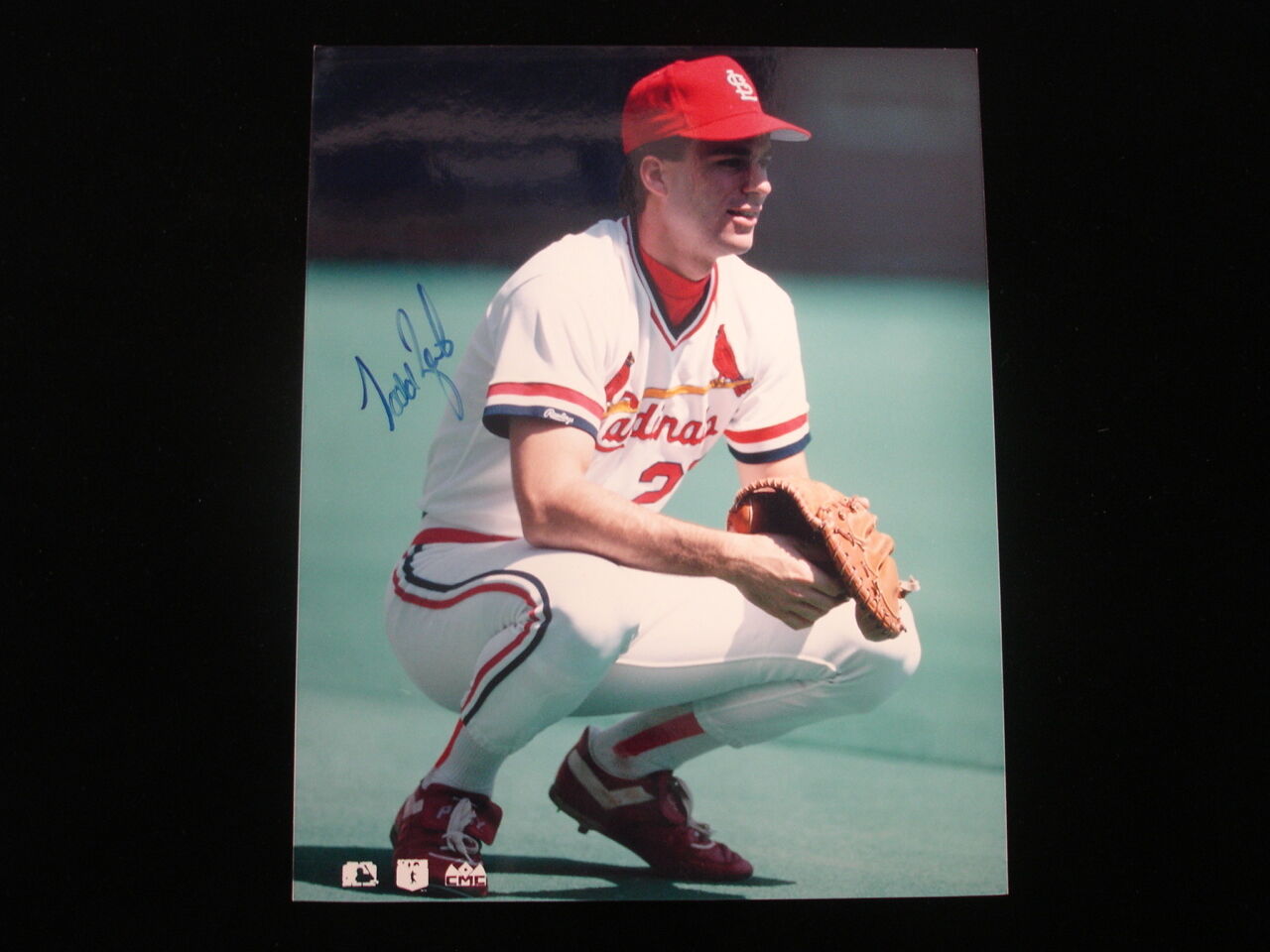 Todd Zeal St. Louis Cardinals Autographed 8x10 Photograph