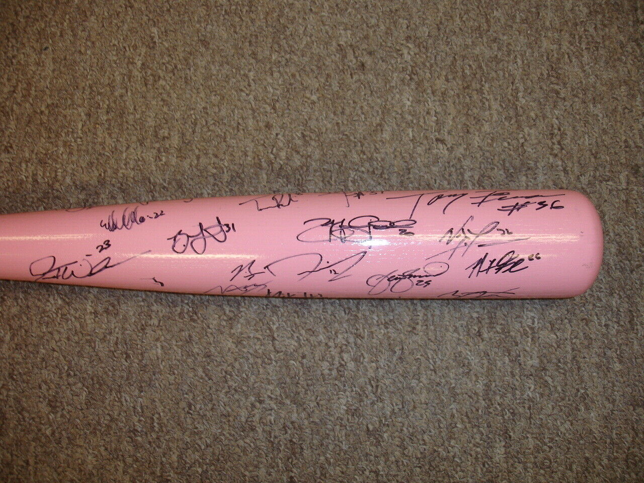 2013 Dayton Dragons Minor League Team Signed Pink Mother's Day Bat - 33 sigs