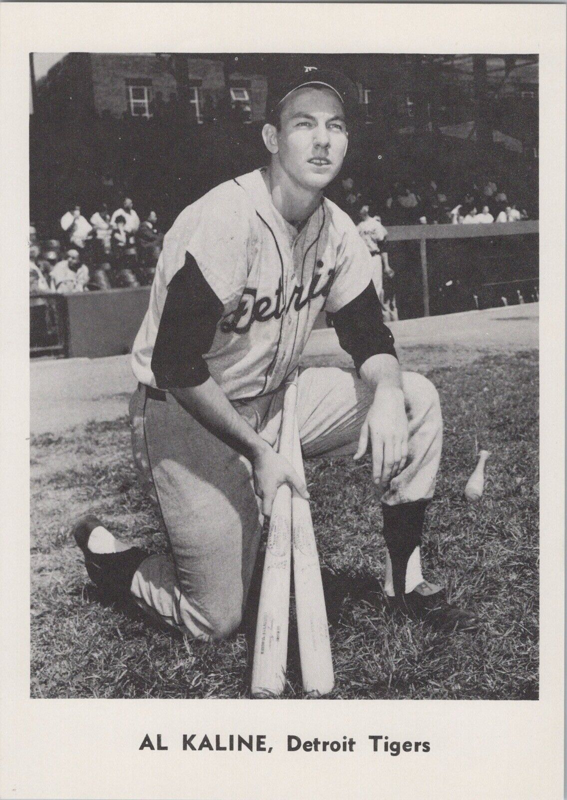 Al Kaline 5x7 1961 Detroit Tigers Jay Publishing Team Photo