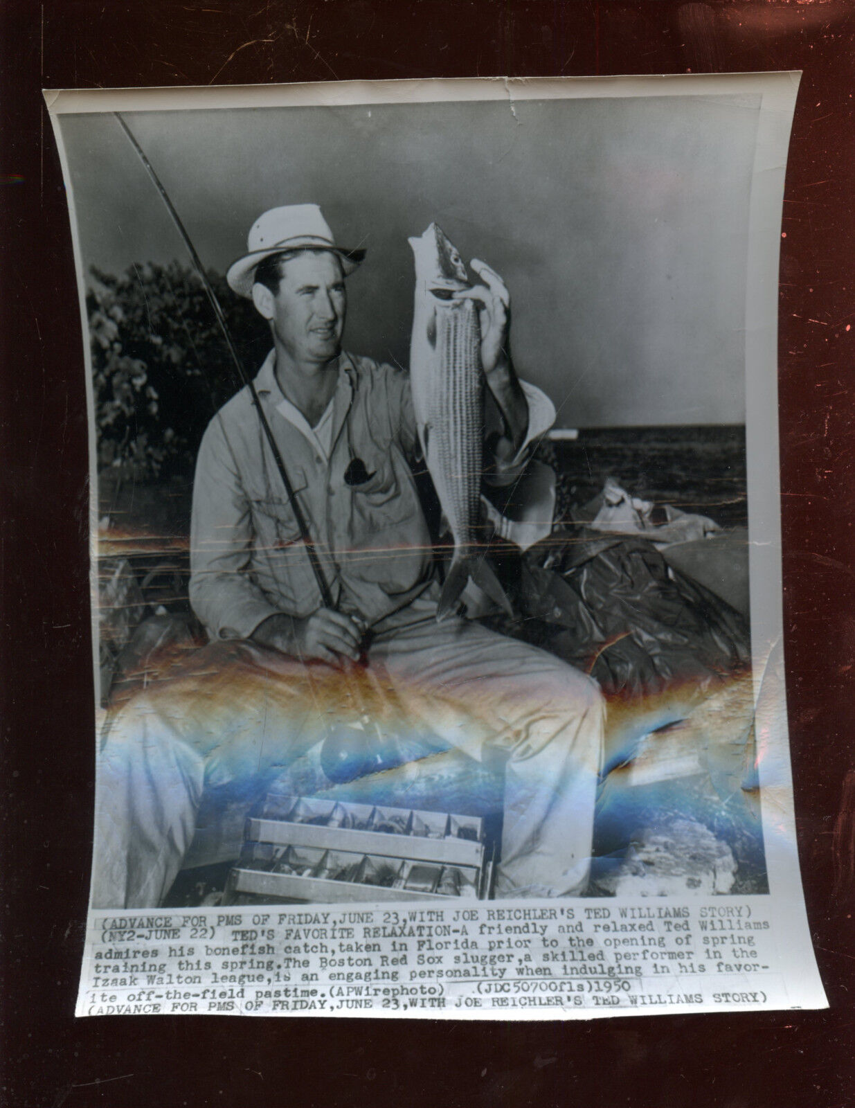 Original June 22 1950 Ted Williams Catches a Bonefish Wire Photo