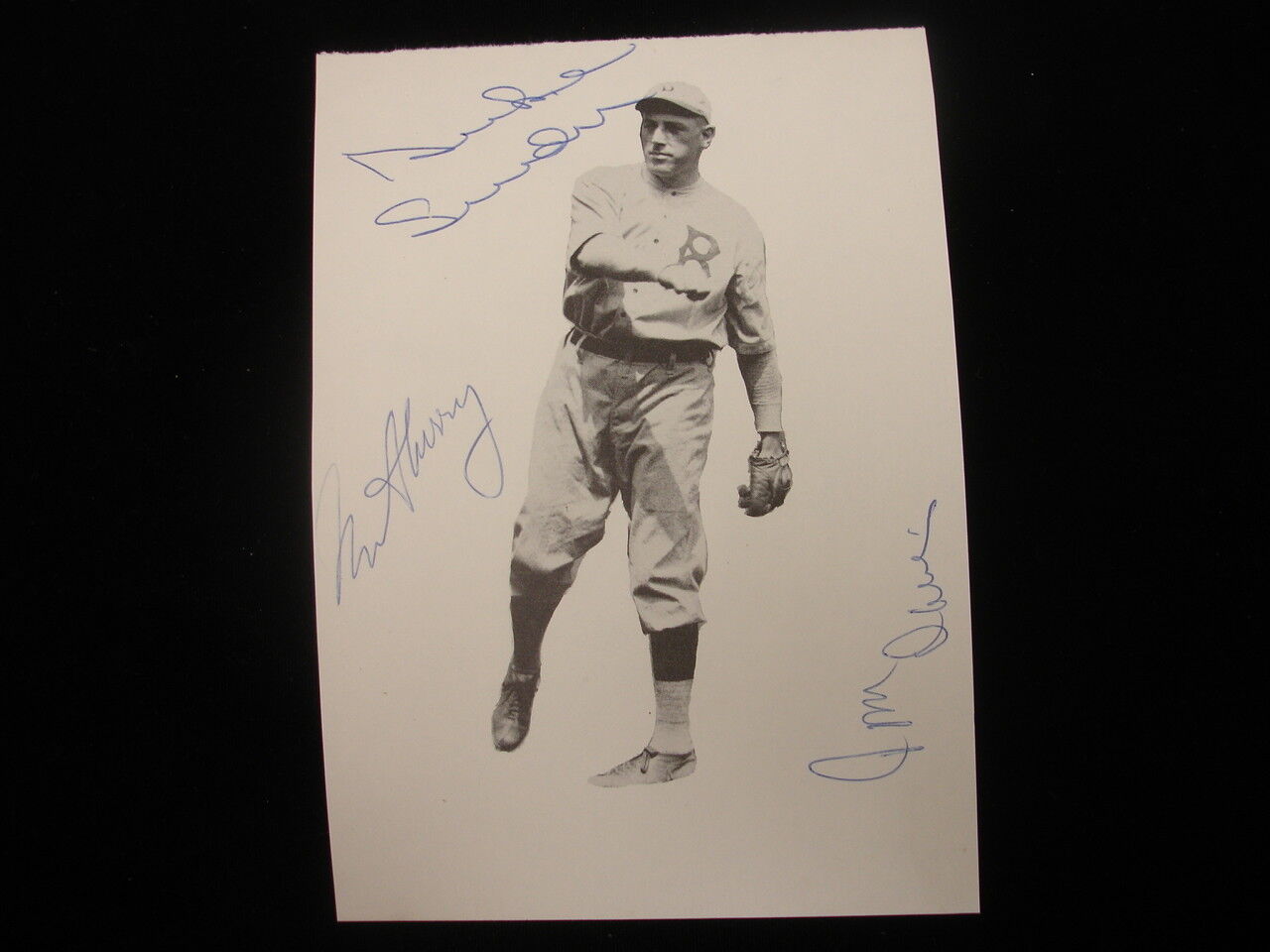 Duke Snider, Tommy Davis, and Norm Sherry Autographed Dodgers Cut