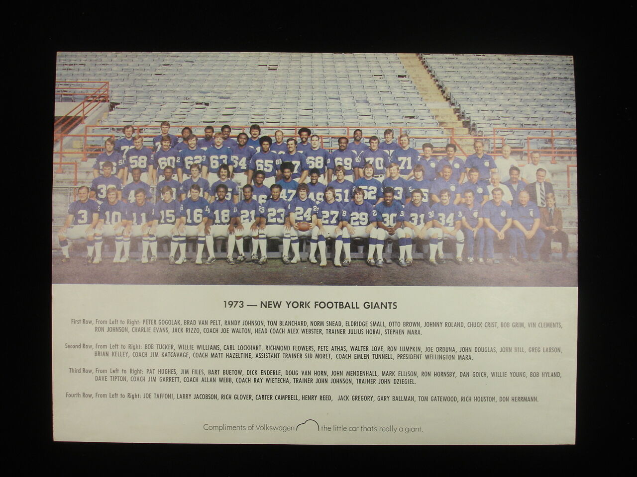 1973 New York Giants Team Photograph - Color, 12" x 9"