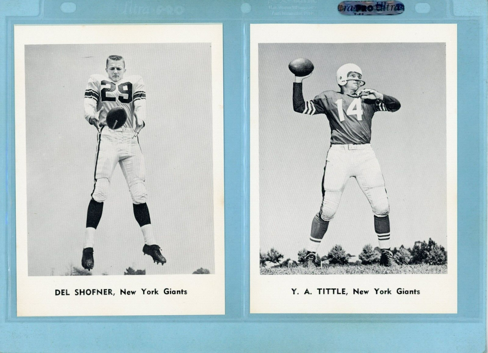 1961 Jay Publishing New York Giants Set of 12 Football Photos Ex/Mt - NM