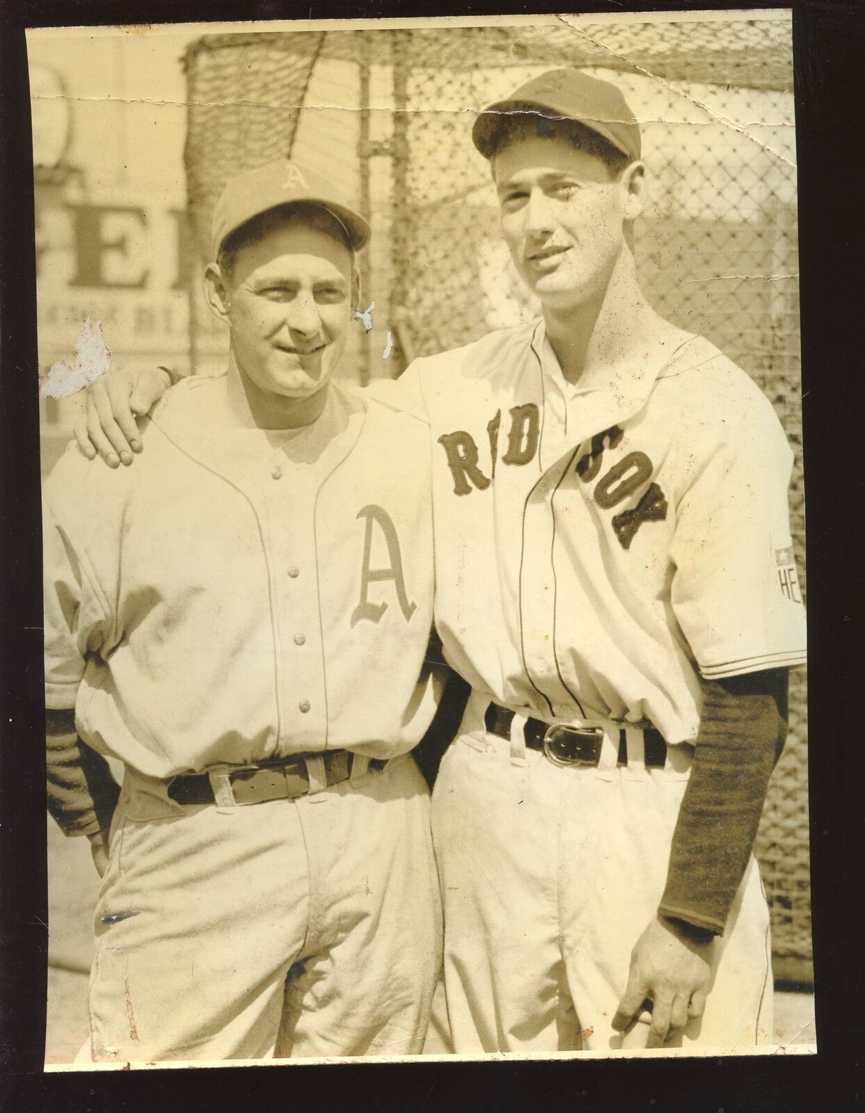 Vintage Ted Williams Boston Red Sox & Philadelphia A's Player Wire Photo