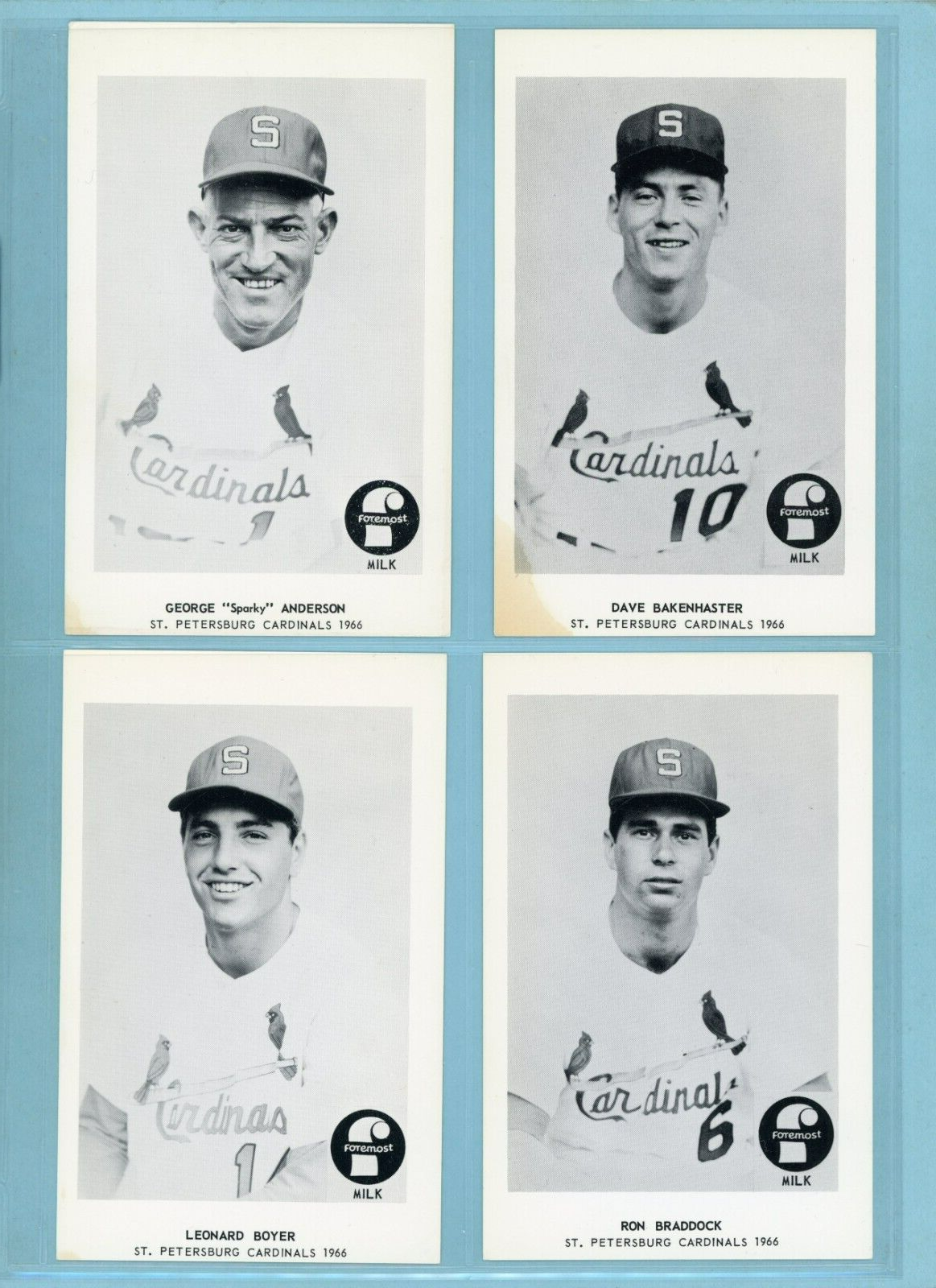 1966 Foremost Milk St. Petersburg Cardinals Near Set of 18 Diff Baseball Photos