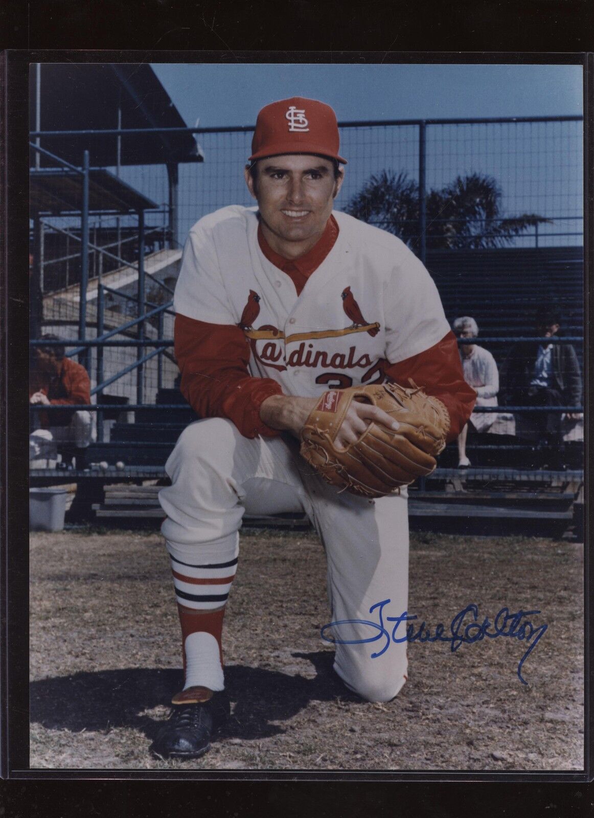 Steve Carlton St. Louis Cardinals Autographed Color 8 X 10 Photo Hologram