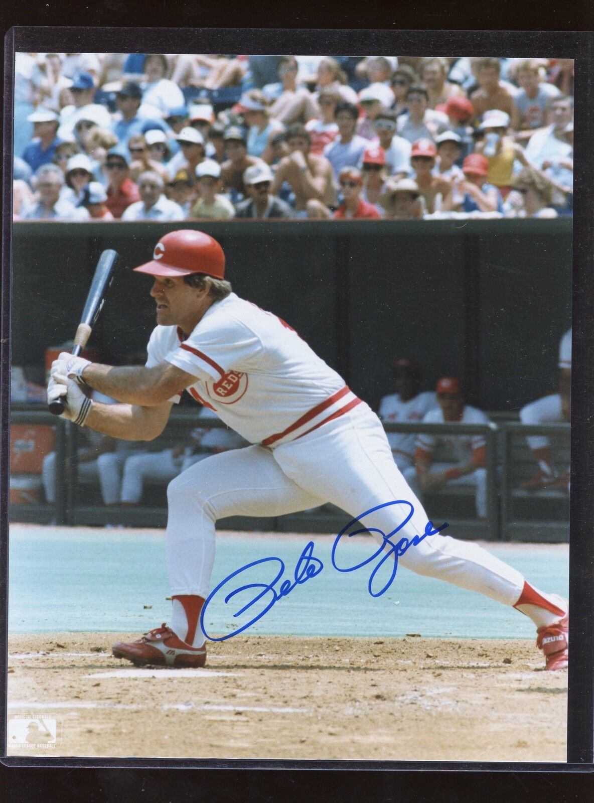 Pete Rose Cincinnati Reds Follow Through 8 X 10 Autographed Photo Hologram