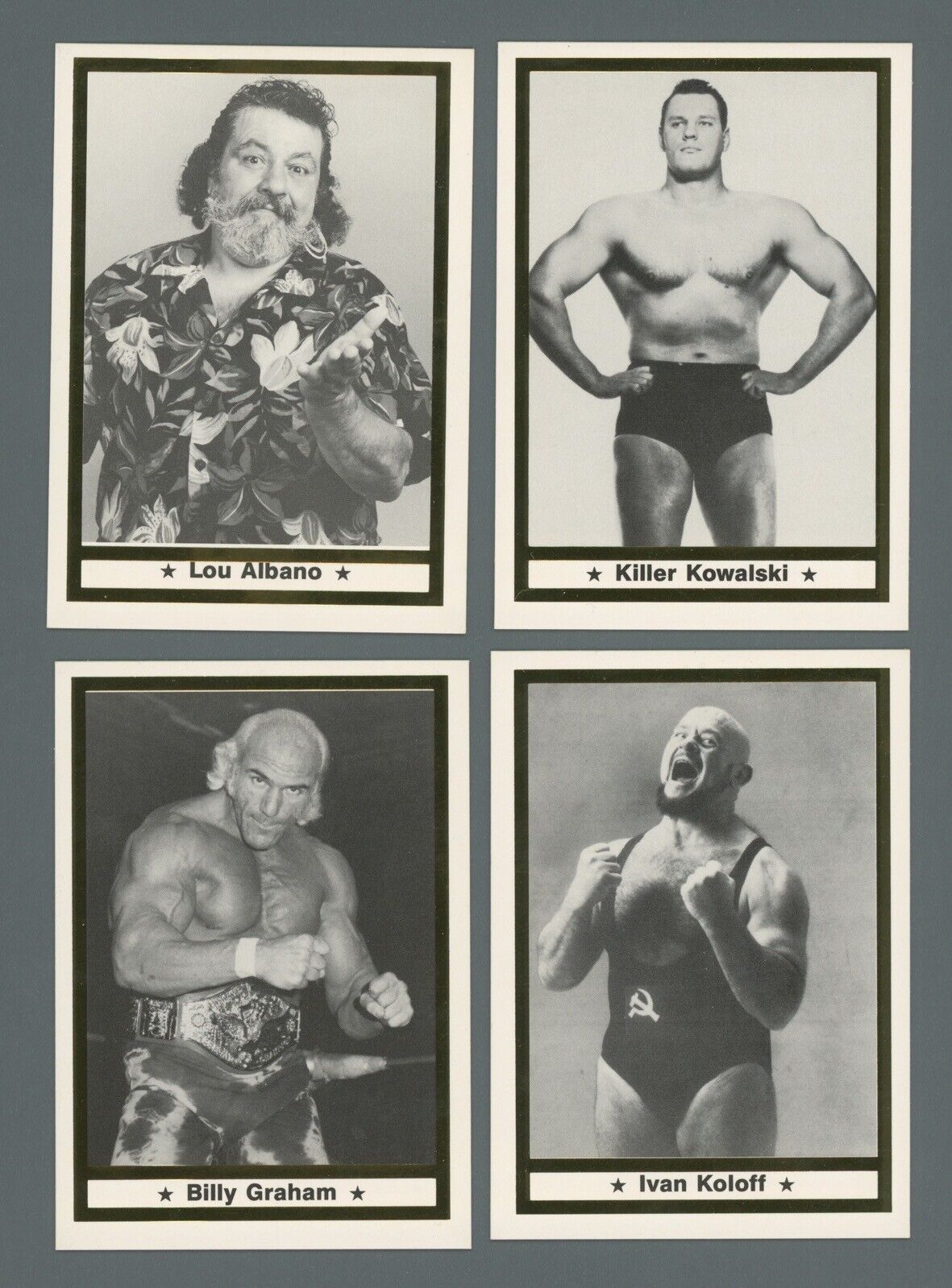 Bruno Sammartino & Domenic DeNucci SIGNED Wrestling Wrestler Cards + 6 Unsigned