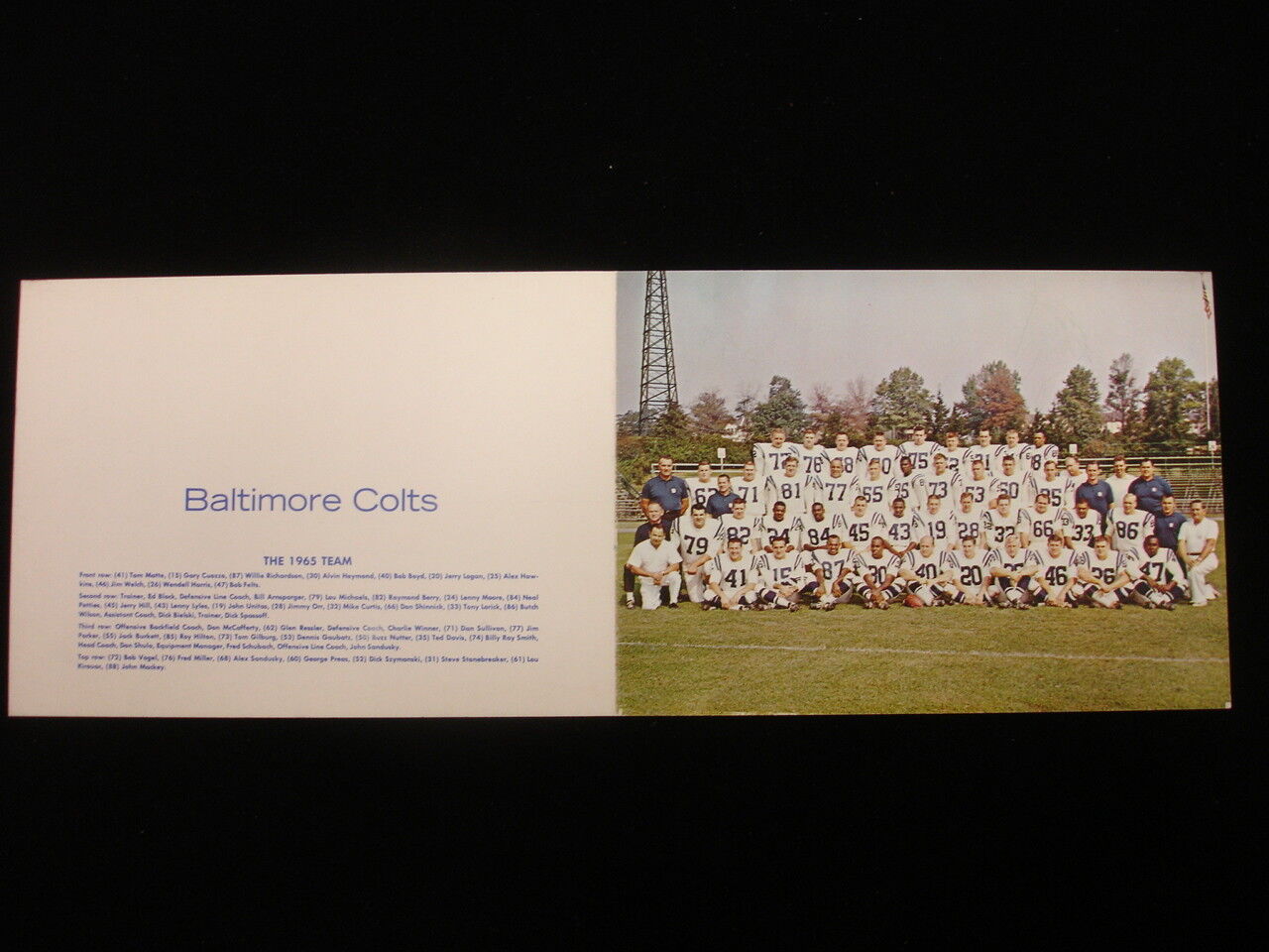 1965 Baltimore Colts Team Photograph - Fold-Out Holiday Card