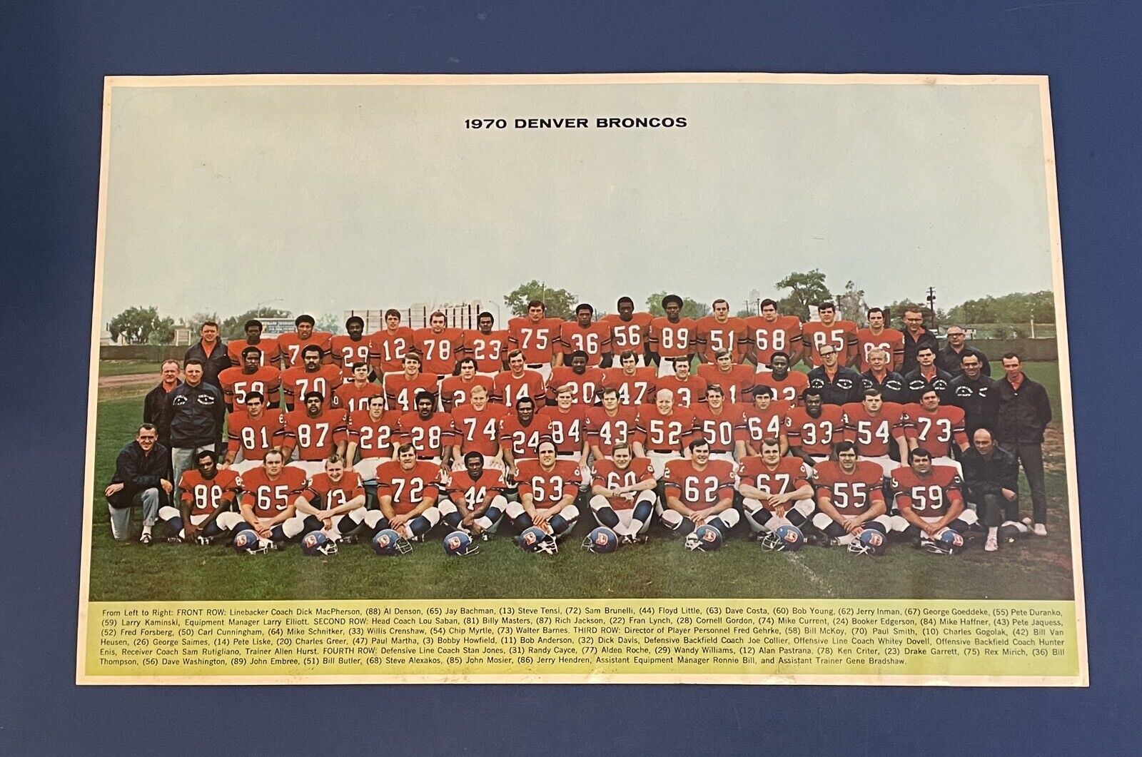 1970 Denver Broncos Promo Team Photo • 11x17 Thick Stock