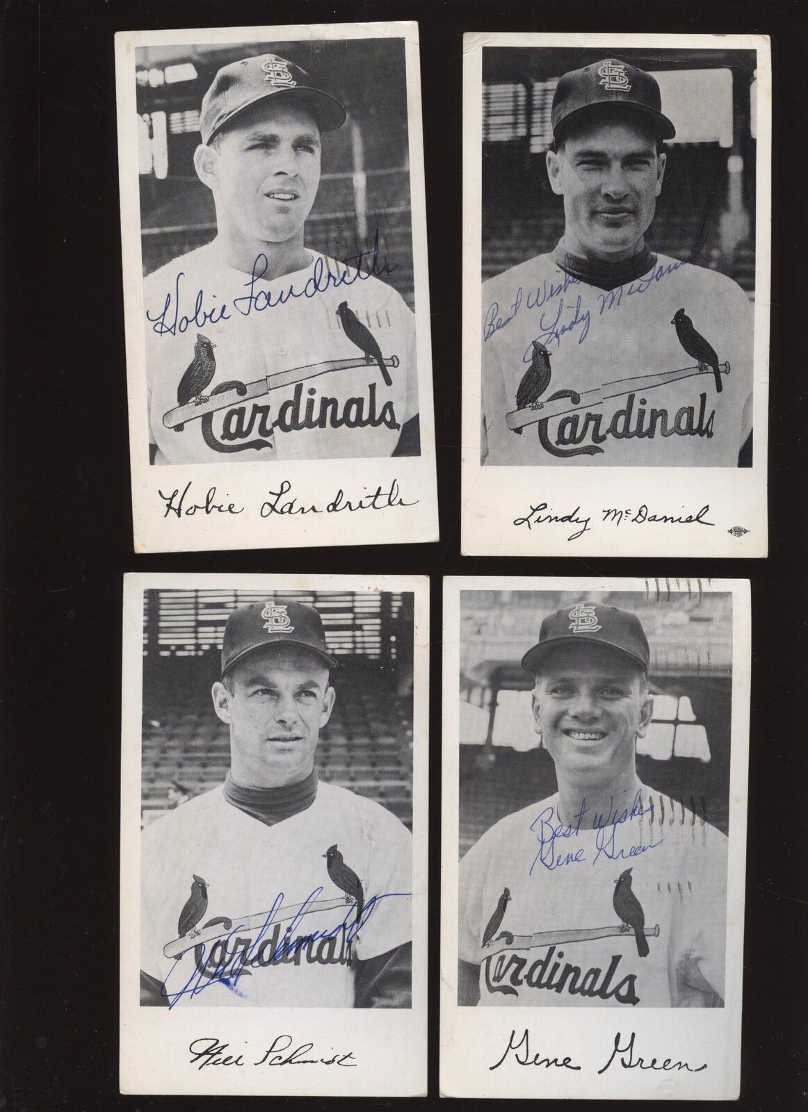 1956/58 St. Louis Card Photo Postcards 11 Different Some Autographed