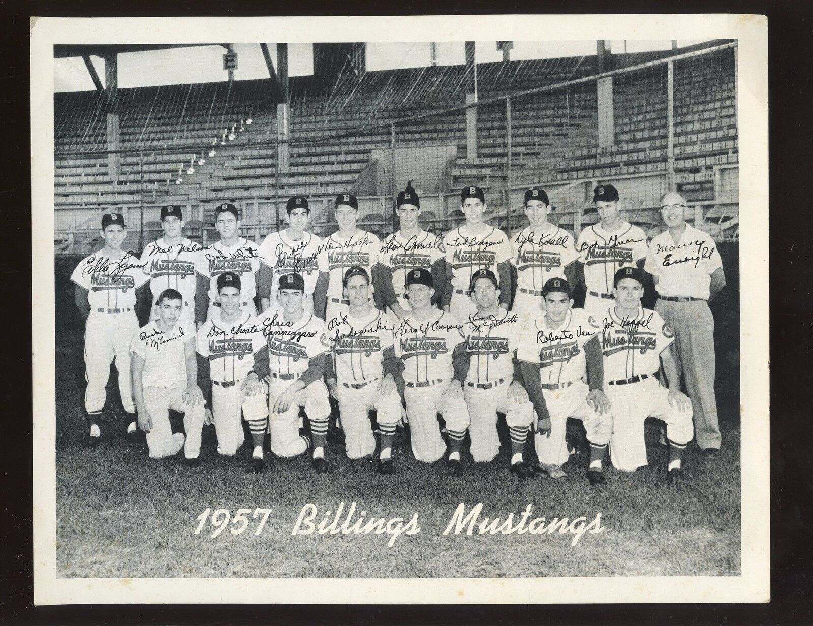 1957 Billings Mustangs Minor League Baseball Team Photo EX+