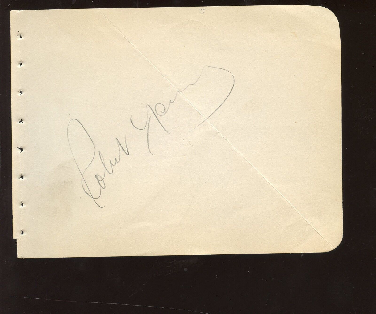 Vintage Robert Young (Actor) Autographed Album Page w/ B&E Hologram