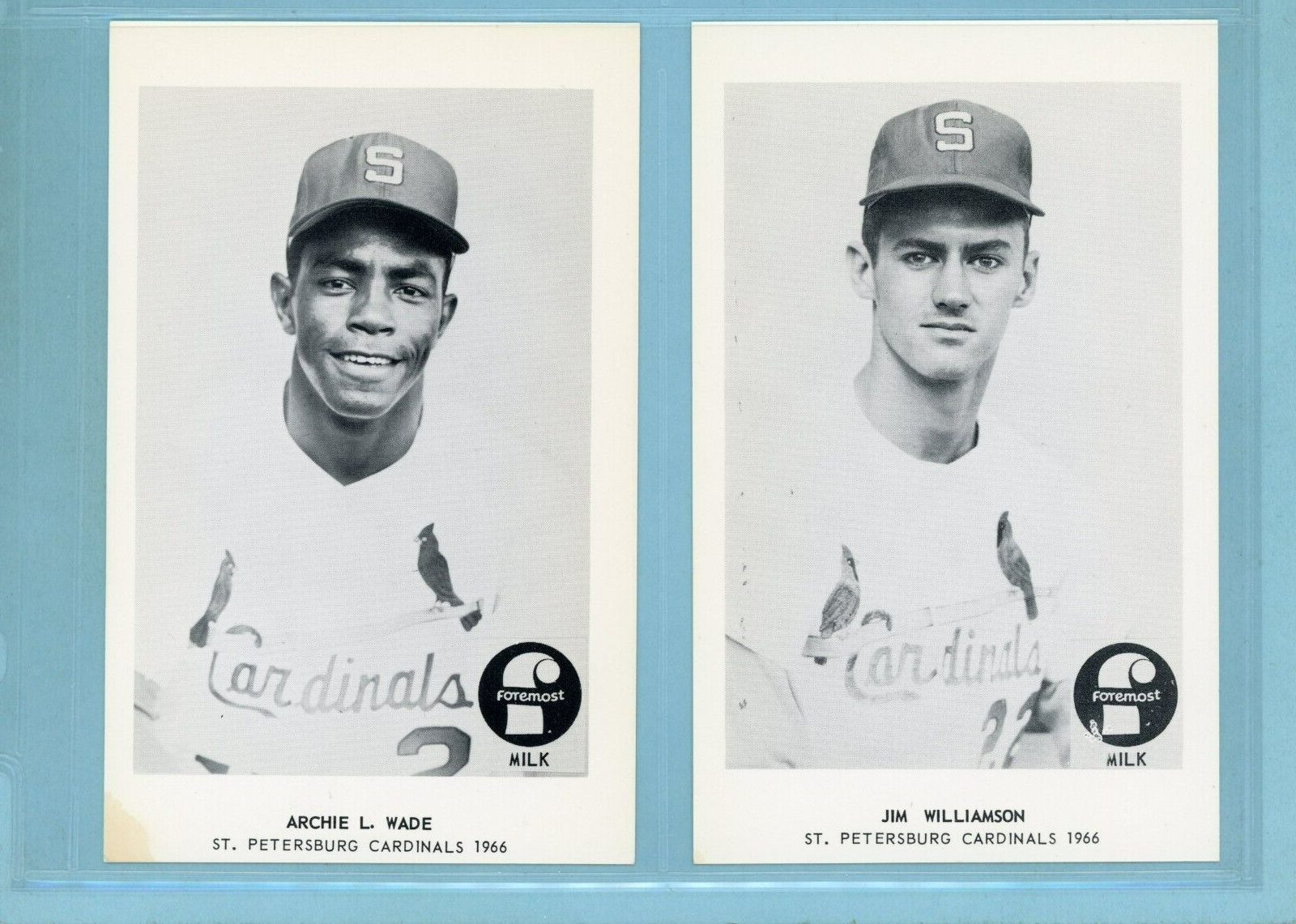 1966 Foremost Milk St. Petersburg Cardinals Near Set of 18 Diff Baseball Photos