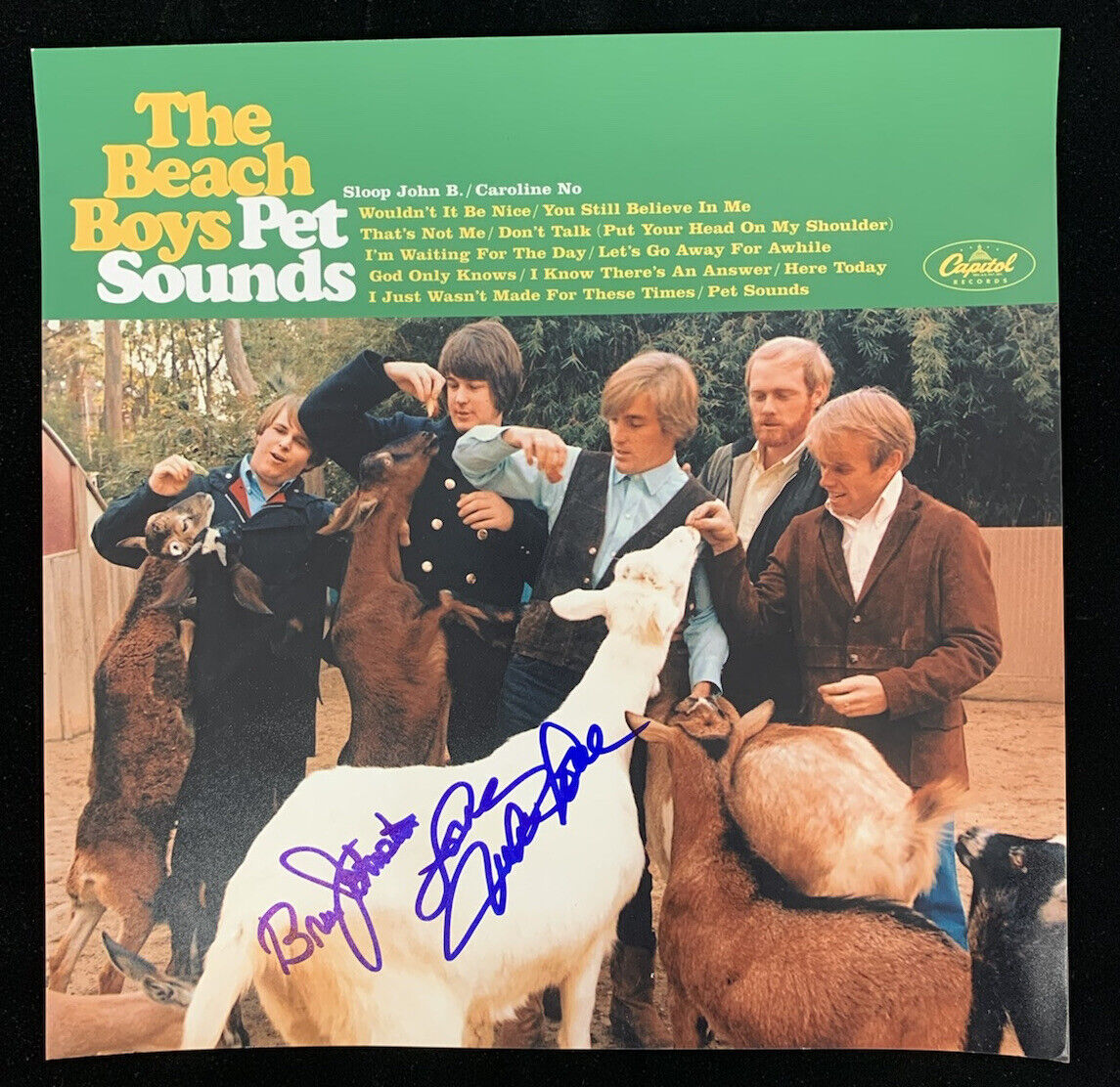 Bruce Johnston & Mike Love BEACH BOYS Dual SIGNED 12x12” Color Photo w/ hologram