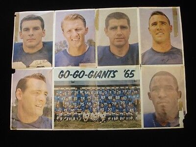 1965 New York Giants Team Issue 20" x 14" Photograph Sheets 2 Sheets of 15 Set