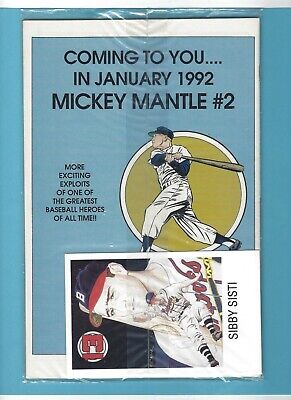 Mickey Mantle & Joe DiMaggio Lot of 2 Comic Books NM