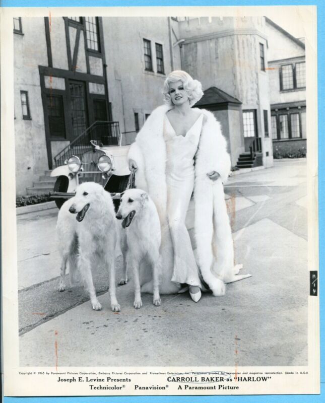 Vintage 8x10 Original 1965 Wirephoto Press Photo “Harlow” Carroll Baker