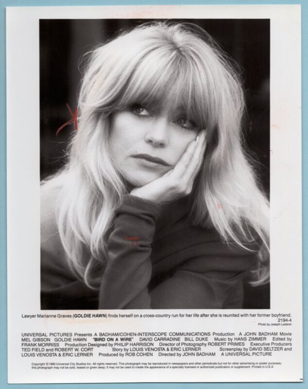 Lot of 7 Goldie Hawn Original Press Wire Photos - Lot #G3